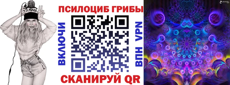 где купить наркоту  Полярный  Псилоцибиновые грибы мицелий 